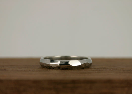 Wit Gouden Ring Facet, 14k wit goud